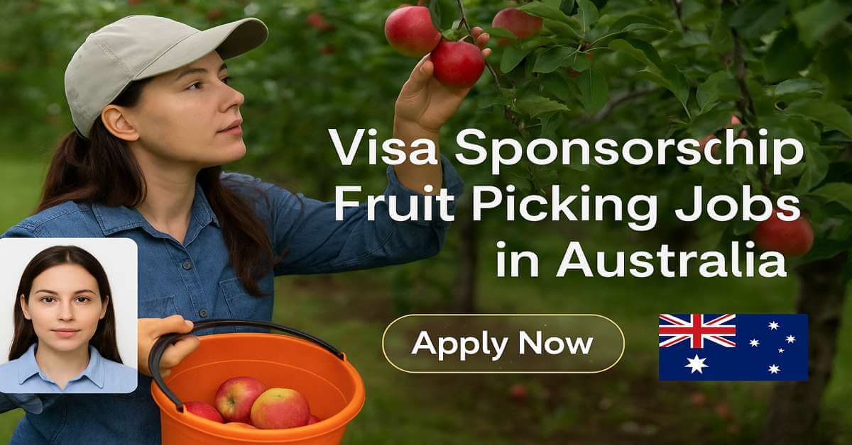 Visa Sponsorship Fruit Picking Jobs in Australia