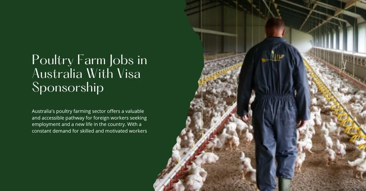 Poultry Farm Jobs in Australia