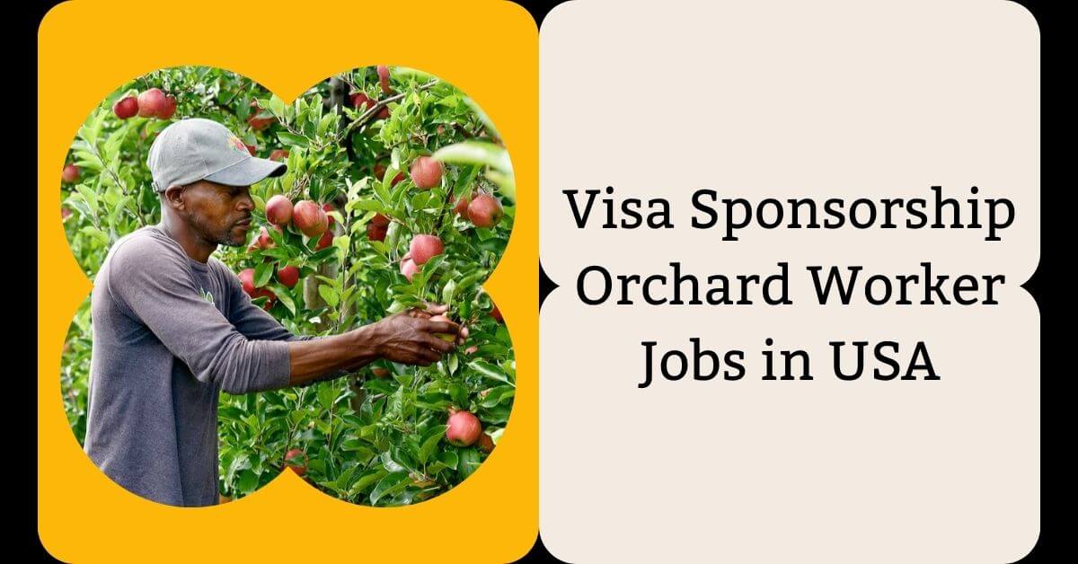 Visa Sponsorship Orchard Worker Jobs in USA