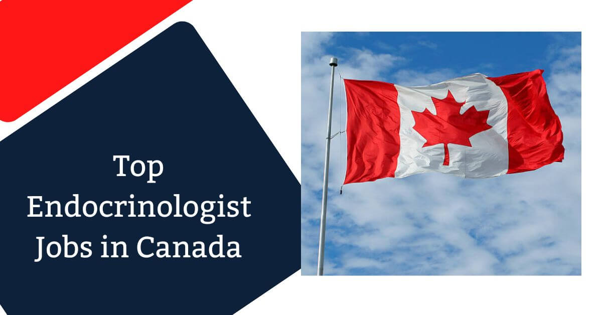 Top Endocrinologist Jobs in Canada