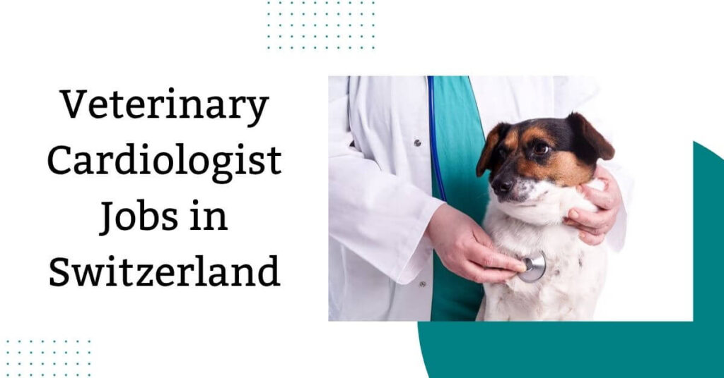 Veterinary Cardiologist Jobs in Switzerland