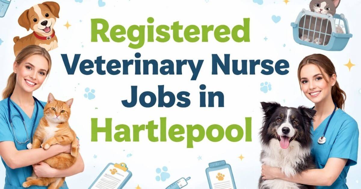 Registered Veterinary Nurse Jobs in Hartlepool