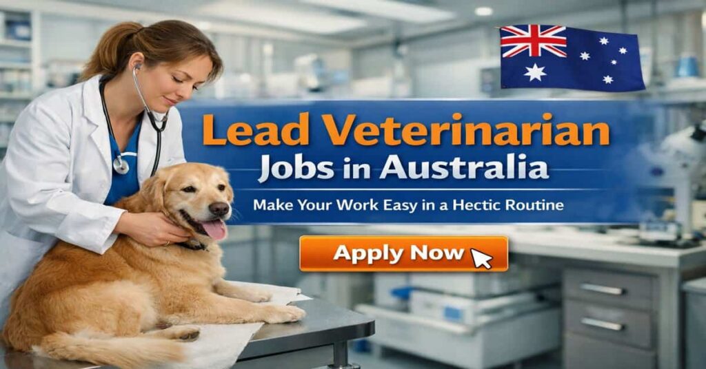 Lead Veterinarian Jobs in Australia