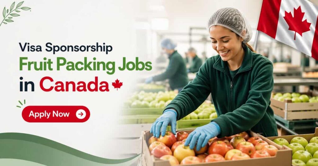 Visa Sponsorship Fruit Packing Jobs in Canada