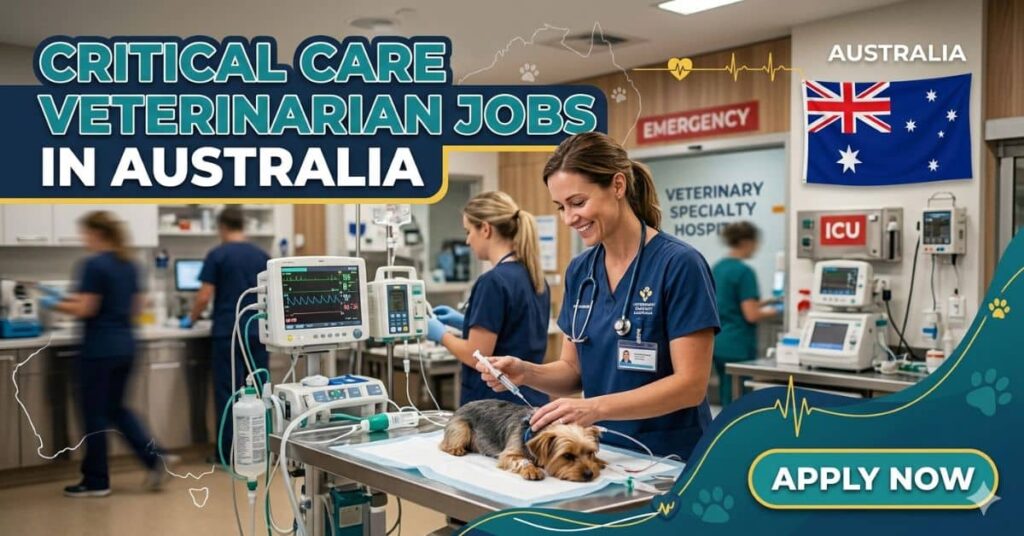 Critical Care Veterinarian Jobs in Australia