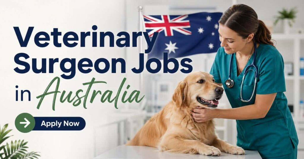 Veterinary Surgeon Jobs in Australia